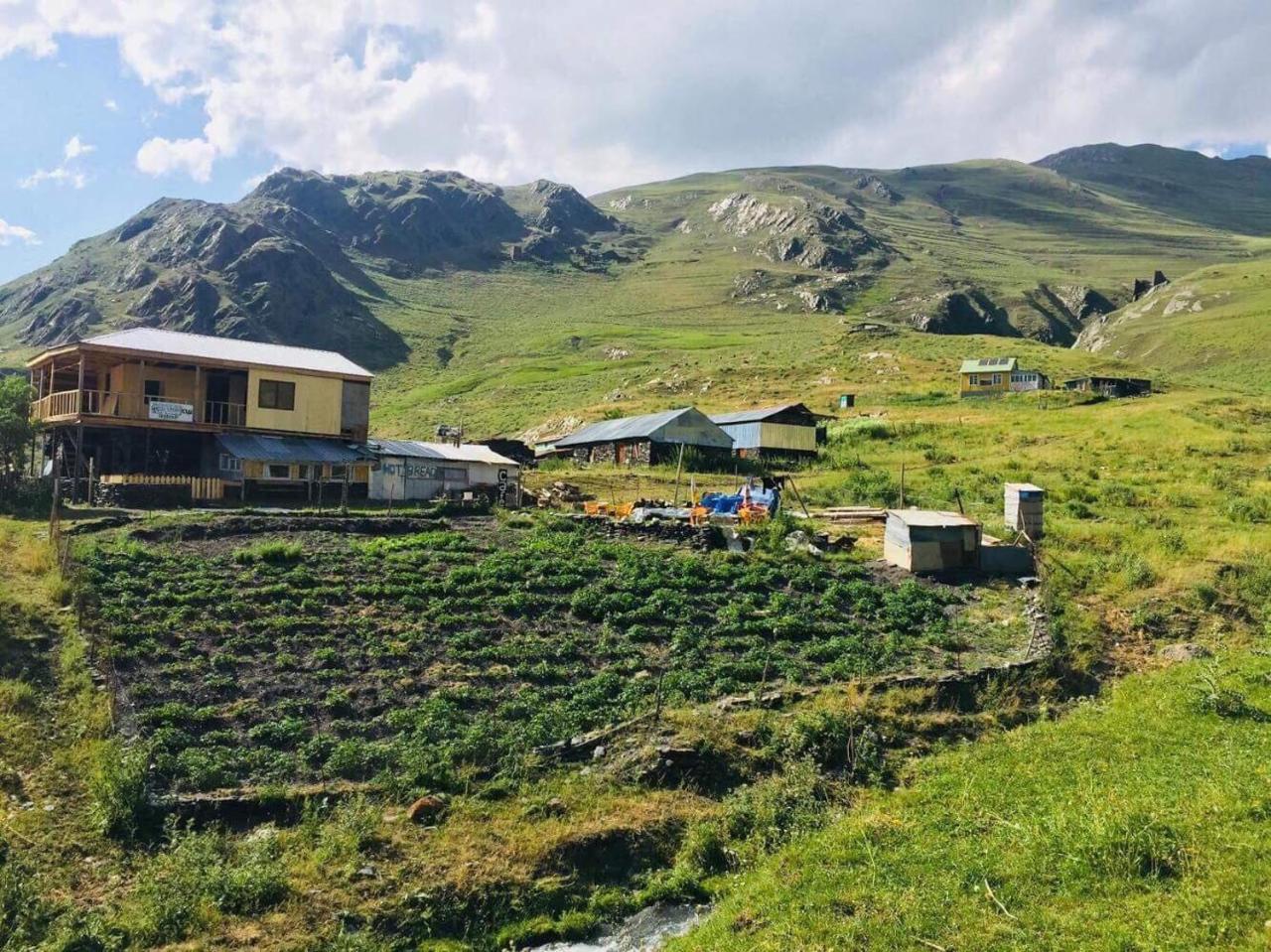 Shio's Stonehouse in Tusheti Hostel Buitenkant foto